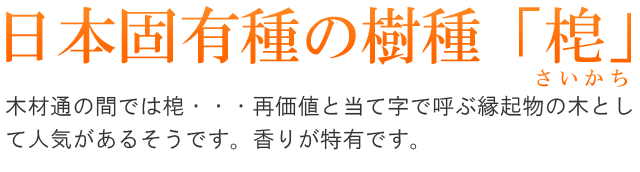 日本固有種の樹種「梍（さいかち）」。木材通の間では梍・・・再価値と当て字で呼ぶ縁起物の木として人気があるそうです。香りが特有です。