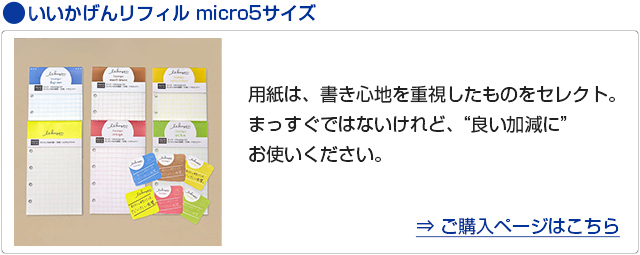 ナガハシ印刷 いいかげんリフィル micro5サイズ だいたい5mm方眼