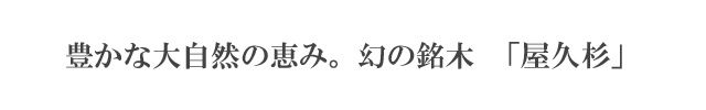 豊かな大自然の恵み。幻の銘木「屋久杉」