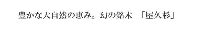 この万年筆の見逃せない３つのポイント