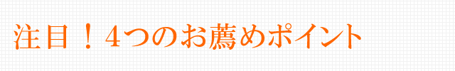 Pent〈ペント〉 ペンケース イントレチャート 3本挿し