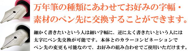 万年筆の種類にあわせてお好みの字幅・素材のペン先に交換することができます。