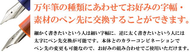 万年筆の種類にあわせてお好みの字幅・素材のペン先に交換することができます。