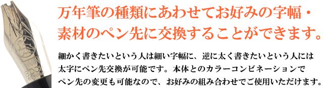 万年筆の種類にあわせてお好みの字幅・素材のペン先に交換することができます。