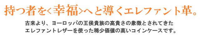 持つ者を<幸福>へと導くエレファント革。