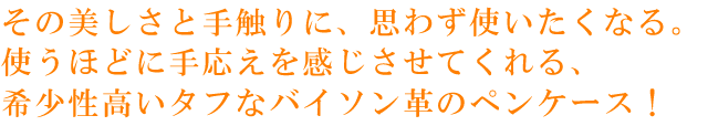 希少性高いタフなバイソン革ファスナーペンケース