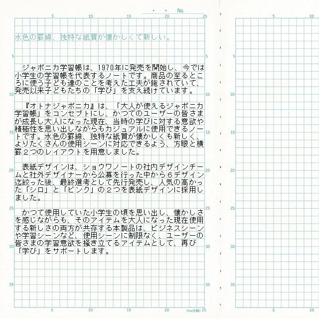 大人が使えるジャポニカってどんな感じだろう？そんな思いからショウワノート社内外デザイナー公募によりデザインを募集しました。最終的に６種類まで絞り込まれたデザインを数量限定にて試験販売を実施。そこで人気のあった２デザインをオトナジャポニカとして製品化しました。大人にも使えるヨコ罫と方眼をご用意しました。