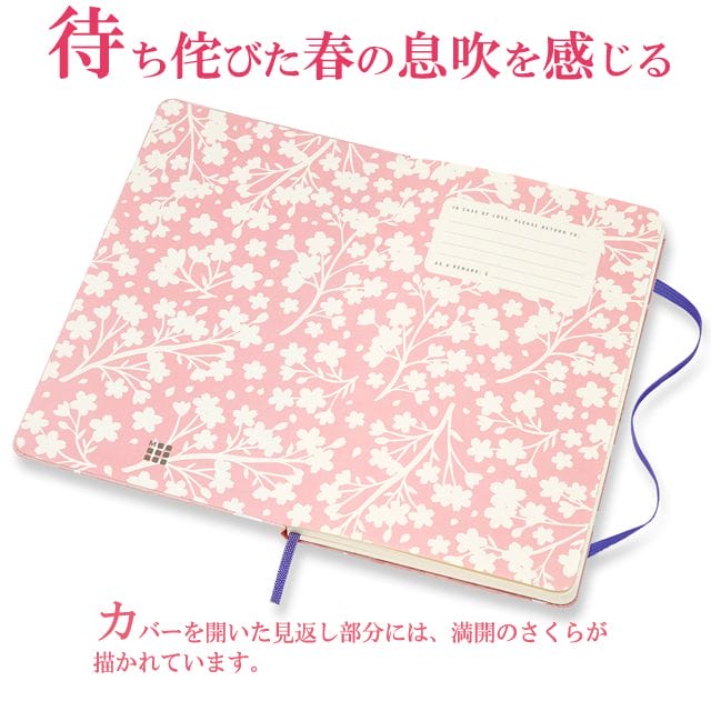 待ち侘びた春の息吹を感じる。カバーを開いた見返し部分には、満開のさくらが描かれています。