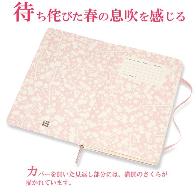 待ち侘びた春の息吹を感じる。カバーを開いた見返し部分には、満開のさくらが描かれています。