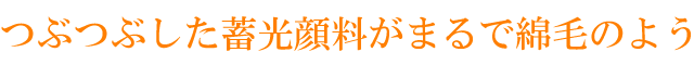 日本歳時記　光の種　ガラス　ペーパーウェイト