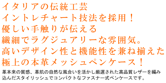Pent〈ペント〉 ペンケース イントレチャート 3本挿し