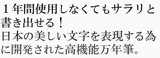 １年間使用しなくてもサラリと書き出せる！日本の美しい文字を表現する為に開発された高機能万年筆。