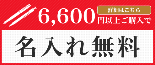 6600円以上ご購入で送料無料！