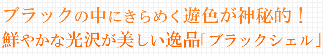 ブラックの中にきらめく遊色が神秘的！鮮やかな光沢が美しい逸品「ブラックシェル」