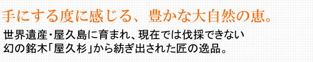 平井木工挽物所 万年筆 雲舟シリーズ 屋久杉