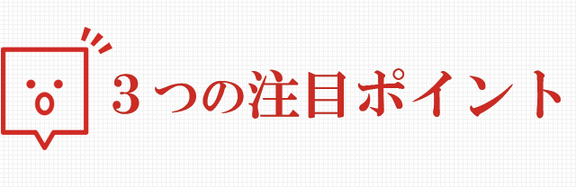 ３つの注目ポイント