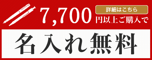 6600円以上ご購入で送料無料！