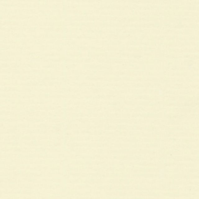 LIFE（ライフ） ノーブルノート 無地 B6 単品 N29