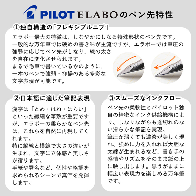 PILOT パイロット 万年筆 エラボー | ペンハウス