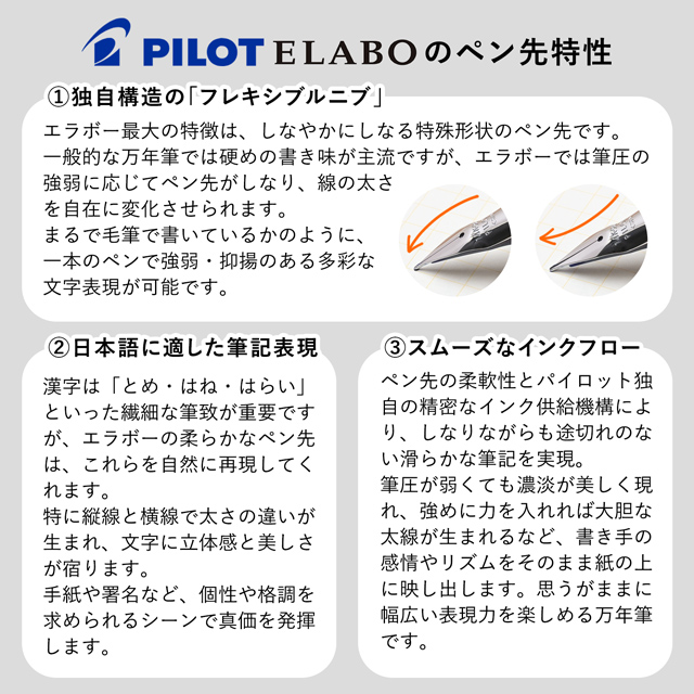 PILOT パイロット 万年筆 エラボー 樹脂軸 FE-18SR-B ブラック | ペン