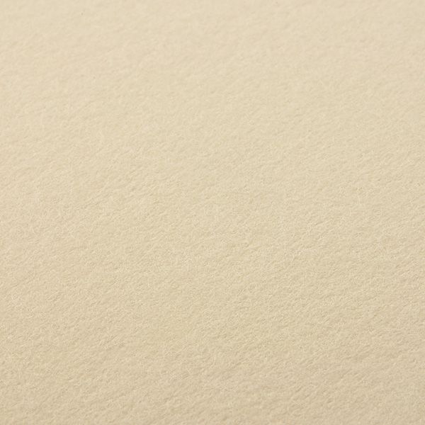 Cuoretti（クオレッティ） コットン クリーム A5便箋 XG1543 蝶と花
