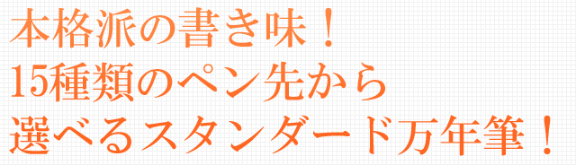 本格派の書き味！15種類のペン先から選べるスタンダード万年筆！