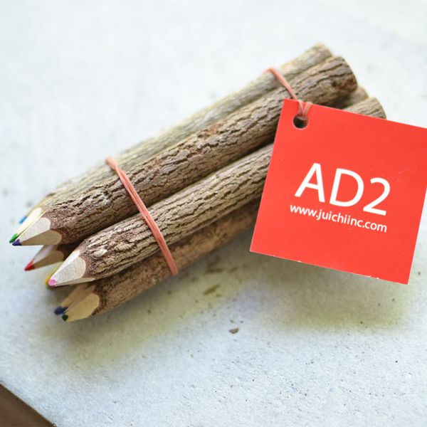 アイデア文具・雑貨 AD2 ネイチャーペンシル alo-pnc-cl5 マルチカラー 木の色鉛筆10本セット（Mサイズ）