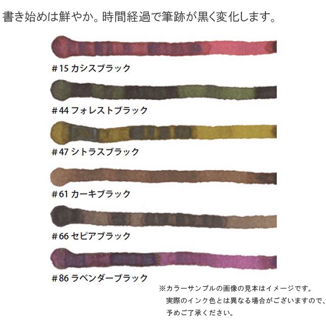 トップ 66 ボトルインク Ink Inkk 00 プラチナ万年筆 Classic セピアブラック 筆記用具