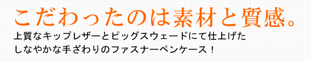 ペンサンブル　ファスナーペンケース