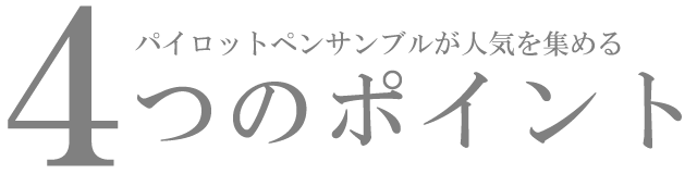 ペンサンブル　ファスナーペンケース