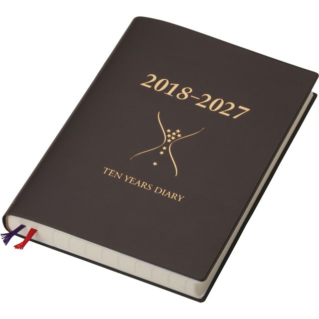 石原出版社 日記帳 石原10年日記 2018年～2027年 ブラウン （2018年度版） N101801