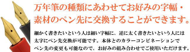 万年筆の種類にあわせてお好みの字幅・素材のペン先に交換することができます。