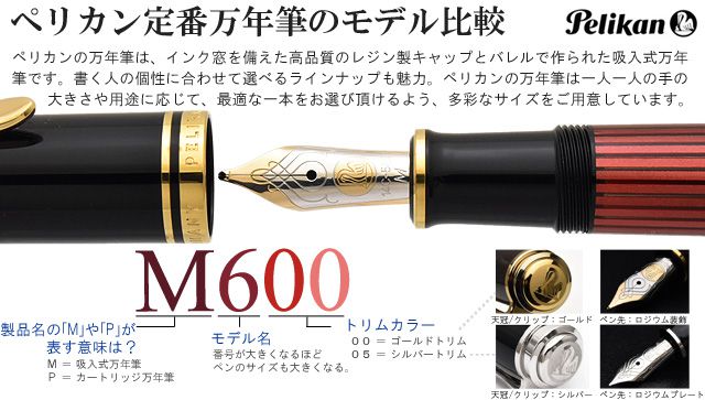 ペリカン定番万年筆のモデル比較 M600