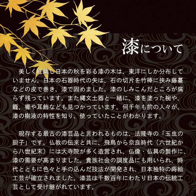 PILOT（パイロット） 万年筆 カスタム URUSHI FKV-88SR-B 漆黒