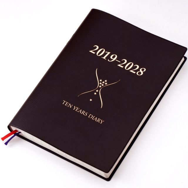 石原出版社 日記帳 石原10年日記 2019年～2028年 ブラウン （2019年度版） N101901