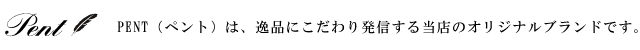 Pent〈ペント〉数量限定 ボトルインク シンフォニー 樹冠を奏でる詩人の森 ～Forest～