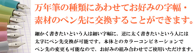 万年筆の種類にあわせてお好みの字幅・素材のペン先に交換することができます。