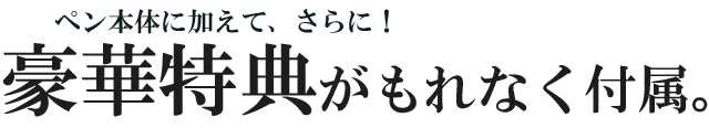 豪華特典がもれなく付属。