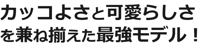 カッコよさと可愛らしさの両方を兼ね揃えた最強モデル！