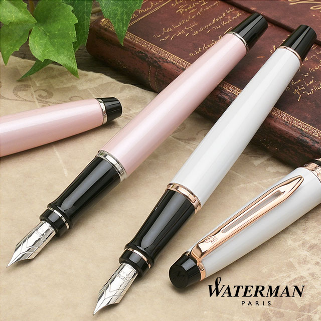 【希少品】WATERMAN ウォーターマン 100周年記念 1883-1983 ル・マン100 万年筆 18Kペン先 ブラック×ゴールド