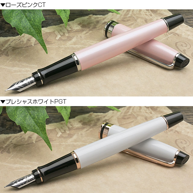 WATERMAN ウォーターマン 万年筆 エキスパート エッセンシャル 18金