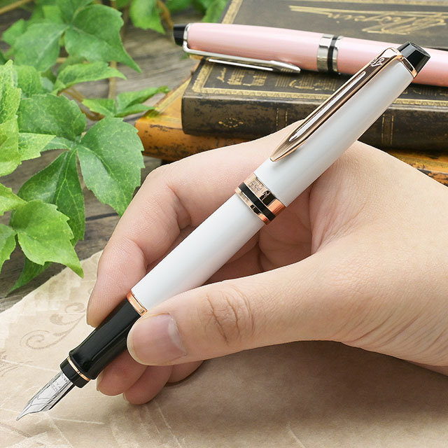 WATERMAN ウォーターマン 万年筆 エキスパート エッセンシャル 18金