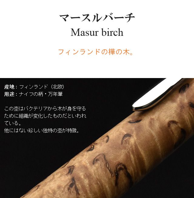 マースルバーチ Masur birch