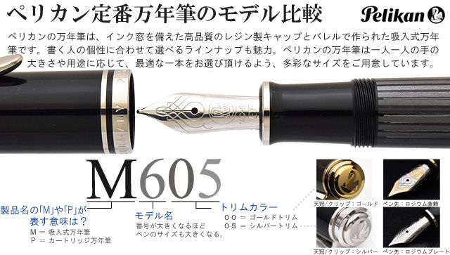 Pelikan Stresemann MPelikan ペリカン 万年筆 スーベレーン M