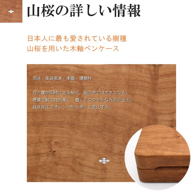 桜の詳しい情報