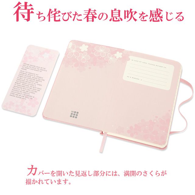 待ち侘びた春の息吹を感じる。カバーを開いた見返し部分には、満開のさくらが描かれています。
