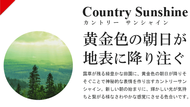 COUNTRY SUNSHINE  カントリー サンシャイン