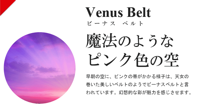 Venus Belt  ビーナス ベルト