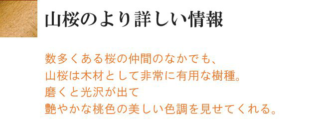 山桜のより詳しい情報