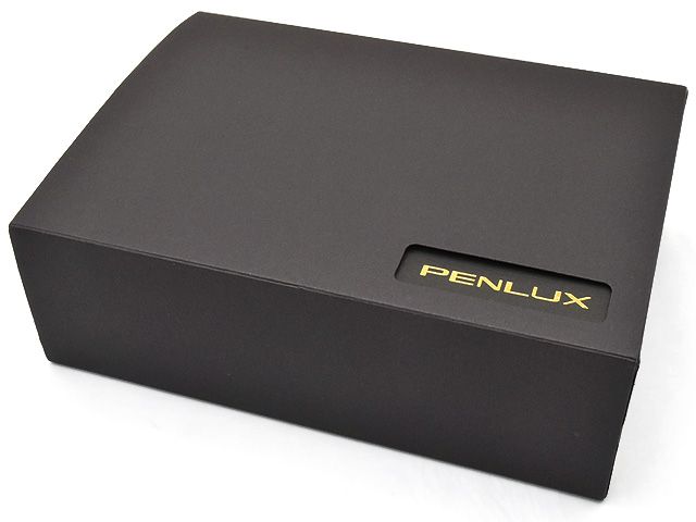 PENLUX（ペンラックス） 万年筆 限定生産 グレート ナチュラル コレクション スノーフレーク (シリアルナンバー入) 14金ペン先 PX-10-150K-220【専用化粧箱入りボトルインク付】